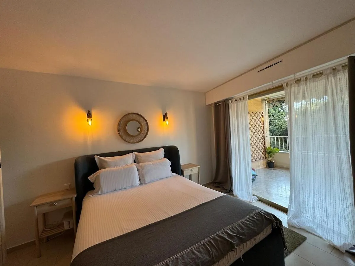 Chic 2 Bedroom With Huge Terrace And Pool 戛纳 公寓